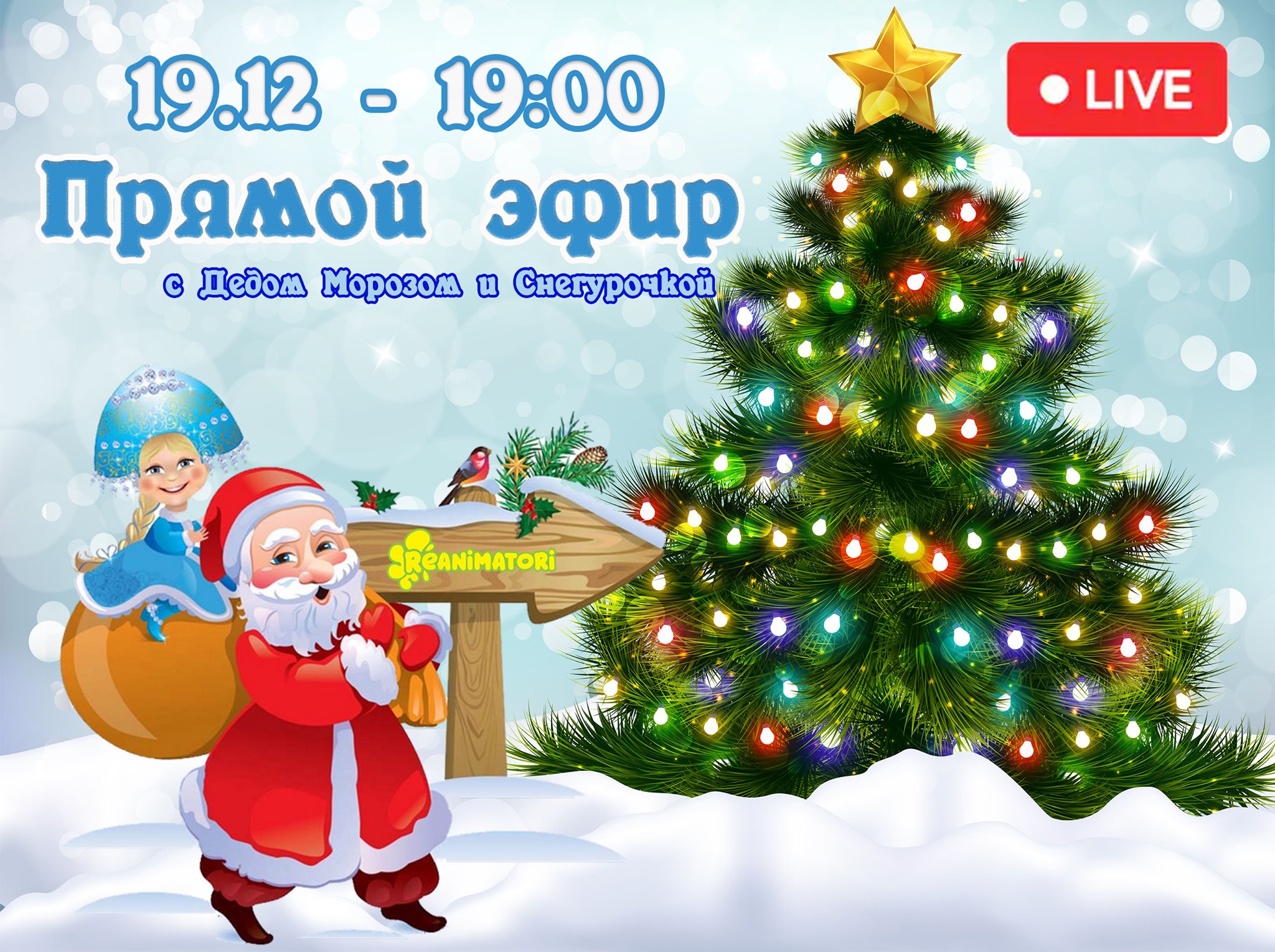 19 Декабря Новый Год 19 Декабря Новый Год